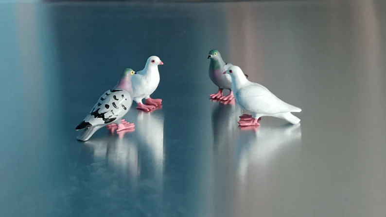Scale 1:12 Lot4 Miniature Pigeons